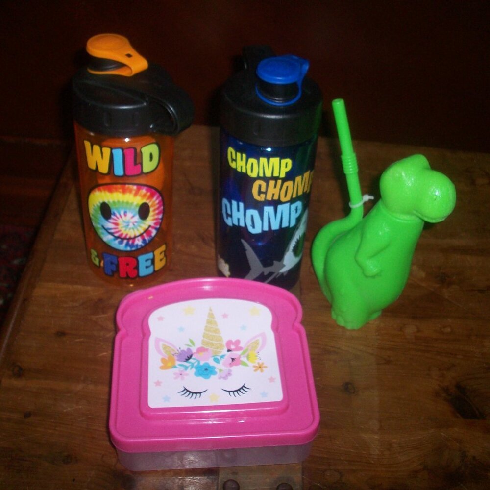 Cool Gear Kids Plastic BPA Free 16oz Water Bottles, Dino Sipper School Lunch Lot